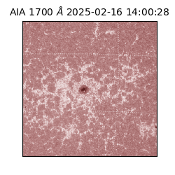 saia - 2025-02-16T14:00:28.720000