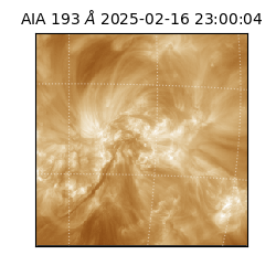 saia - 2025-02-16T23:00:04.843000