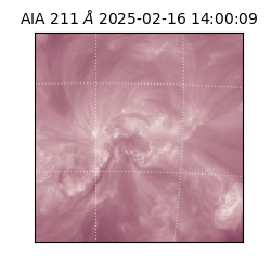 saia - 2025-02-16T14:00:09.631000