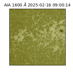 saia - 2025-02-16T09:00:14.125000