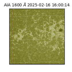 saia - 2025-02-16T16:00:14.133000