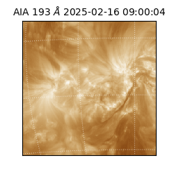 saia - 2025-02-16T09:00:04.843000