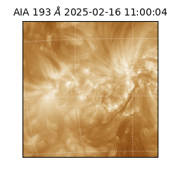 saia - 2025-02-16T11:00:04.843000