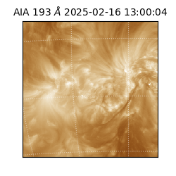 saia - 2025-02-16T13:00:04.843000