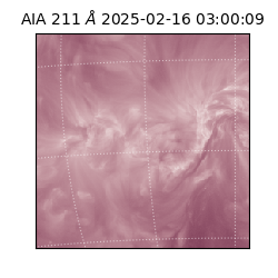 saia - 2025-02-16T03:00:09.631000