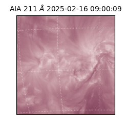 saia - 2025-02-16T09:00:09.626000