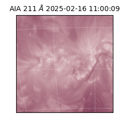 saia - 2025-02-16T11:00:09.631000