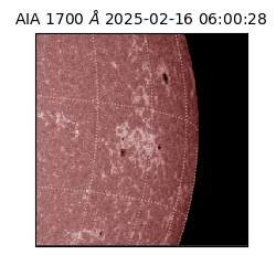 saia - 2025-02-16T06:00:28.720000
