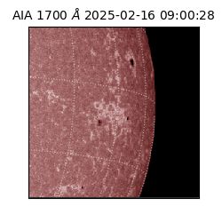 saia - 2025-02-16T09:00:28.720000