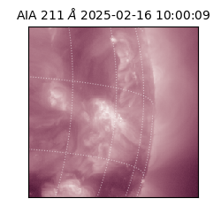 saia - 2025-02-16T10:00:09.631000