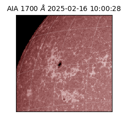 saia - 2025-02-16T10:00:28.720000