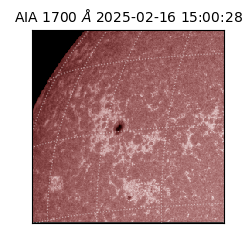 saia - 2025-02-16T15:00:28.720000