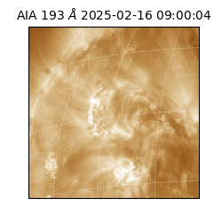 saia - 2025-02-16T09:00:04.843000