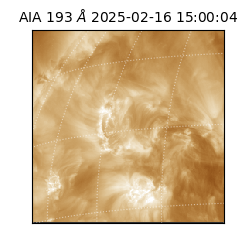 saia - 2025-02-16T15:00:04.843000