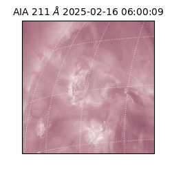 saia - 2025-02-16T06:00:09.626000