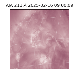 saia - 2025-02-16T09:00:09.626000