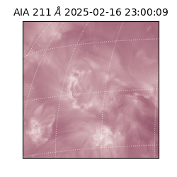 saia - 2025-02-16T23:00:09.633000