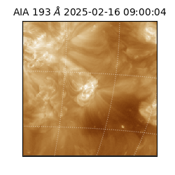 saia - 2025-02-16T09:00:04.843000