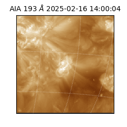 saia - 2025-02-16T14:00:04.843000