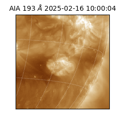 saia - 2025-02-16T10:00:04.843000