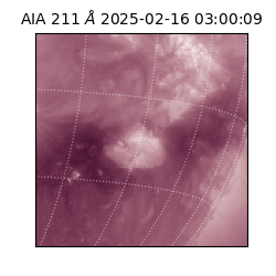 saia - 2025-02-16T03:00:09.631000