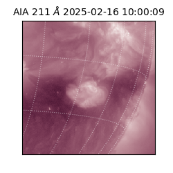 saia - 2025-02-16T10:00:09.631000