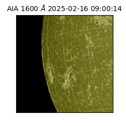 saia - 2025-02-16T09:00:14.125000