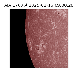 saia - 2025-02-16T09:00:28.720000