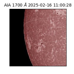 saia - 2025-02-16T11:00:28.720000