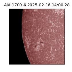 saia - 2025-02-16T14:00:28.720000