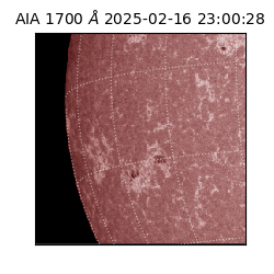 saia - 2025-02-16T23:00:28.717000