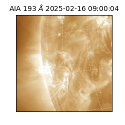 saia - 2025-02-16T09:00:04.843000