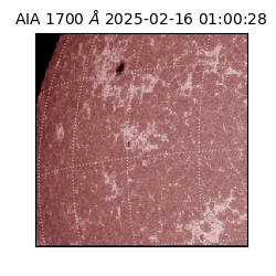 saia - 2025-02-16T01:00:28.720000