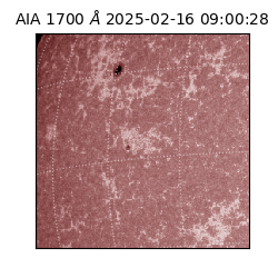 saia - 2025-02-16T09:00:28.720000