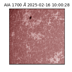 saia - 2025-02-16T10:00:28.720000