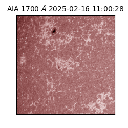 saia - 2025-02-16T11:00:28.720000