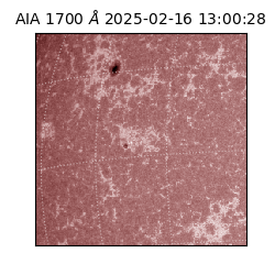 saia - 2025-02-16T13:00:28.736000