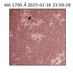 saia - 2025-02-16T23:00:28.717000
