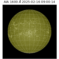 saia - 2025-02-16T09:00:14.125000
