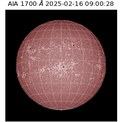 saia - 2025-02-16T09:00:28.720000