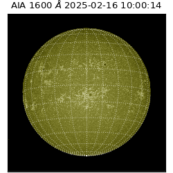 saia - 2025-02-16T10:00:14.125000