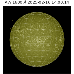 saia - 2025-02-16T14:00:14.126000