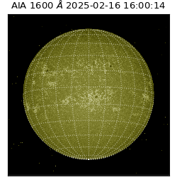 saia - 2025-02-16T16:00:14.133000