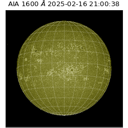 saia - 2025-02-16T21:00:38.126000
