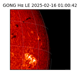gong - 2025-02-16T01:00:42