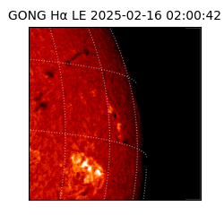gong - 2025-02-16T02:00:42
