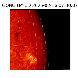 gong - 2025-02-16T07:00:02