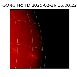 gong - 2025-02-16T16:00:22
