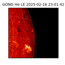 gong - 2025-02-16T23:01:42