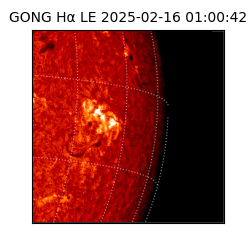 gong - 2025-02-16T01:00:42